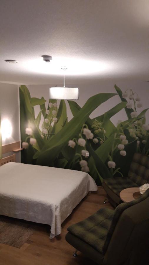 Hotel Viesu Nams Zala Sala Litavniki Zewnętrze zdjęcie