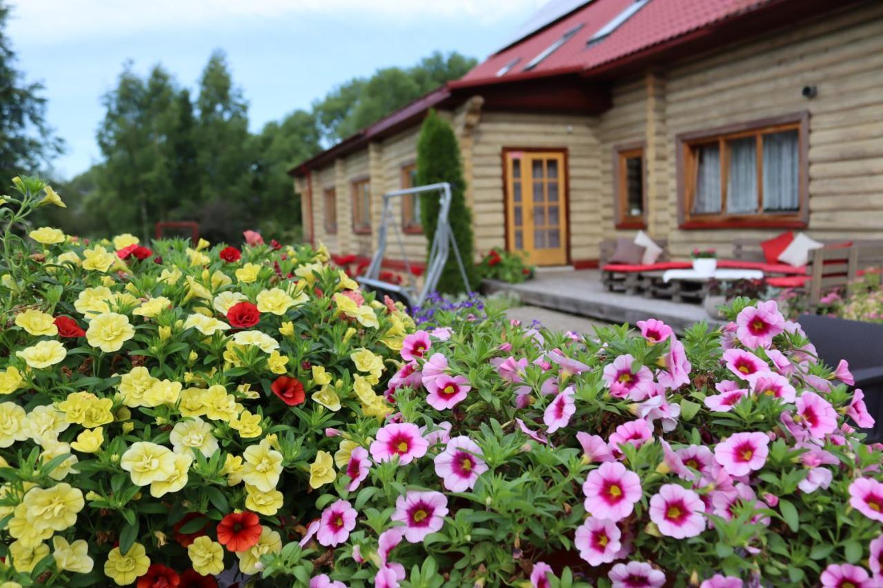 Hotel Viesu Nams Zala Sala Litavniki Zewnętrze zdjęcie