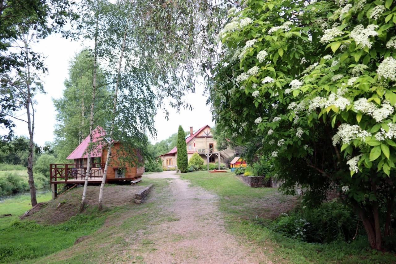 Hotel Viesu Nams Zala Sala Litavniki Zewnętrze zdjęcie